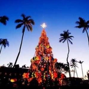 Meet your Posher, Debi